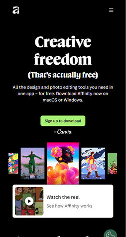 Example of a mobile website interface displayed in full view