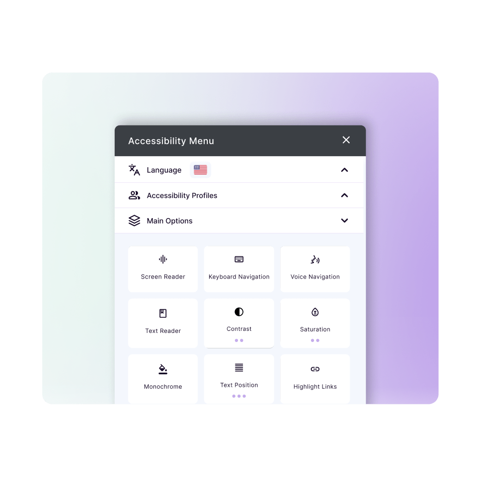 Illustration of the Main Options section on our accessibility widget, highlighted with a magnifying glass design.